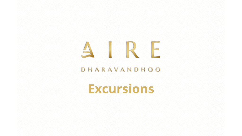 Aire Excursions cover